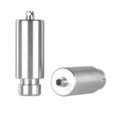 Esijyrsitty Abutment Osstem